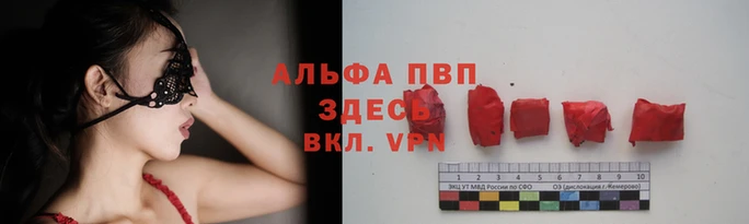 сатива Переславль-Залесский
